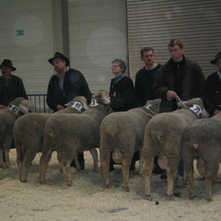 2003 ML-Elite Ulm 04.02.03