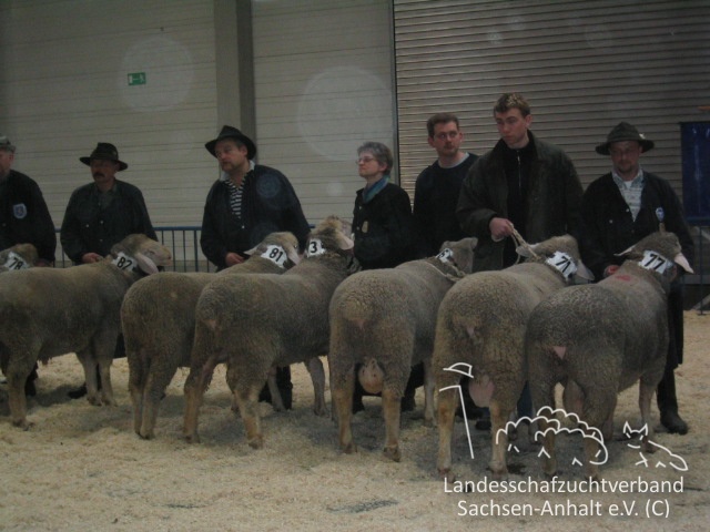 ULM 4.2.03 008.jpg