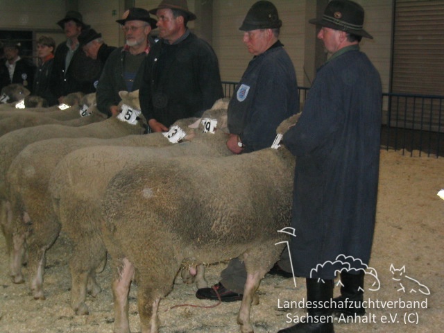 ULM 4.2.03 013.jpg