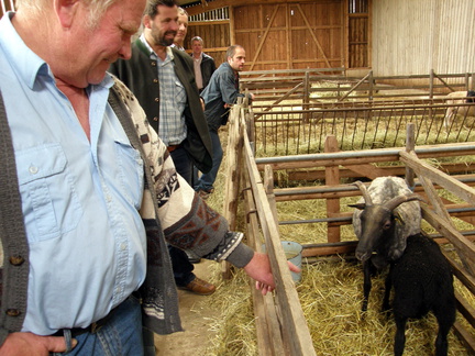 OVIS AUSTRIA 09.05.2009 015