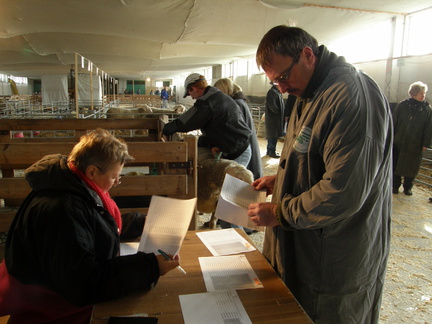 Kölsa  25.03.2009 011