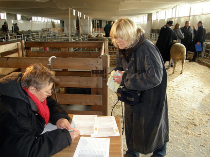 Kölsa  25.03.2009 014