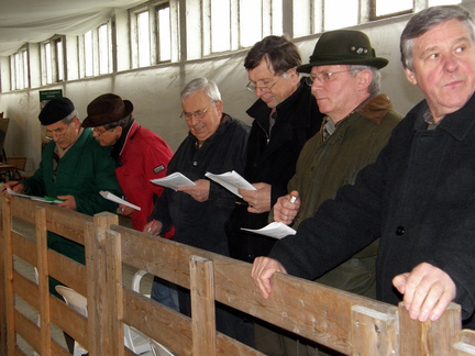 Kölsa  25.03.2009 027