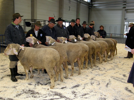 ML Elite 2011     Ulm 084