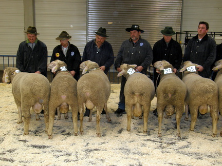 ML Elite 2011     Ulm 085