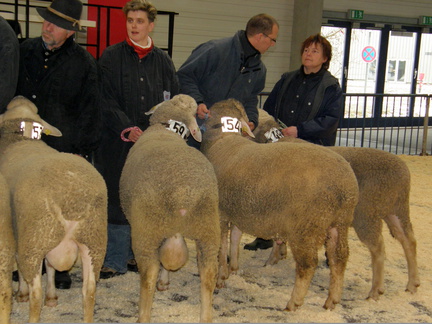 ML Elite 2011     Ulm 086