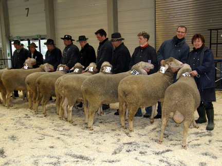 ML Elite 2011     Ulm 088