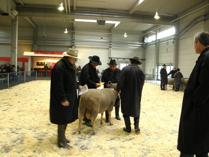 ML Elite 2011     Ulm 036