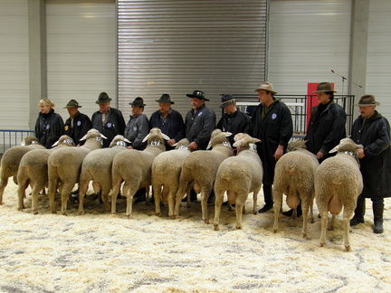 ML Elite 2011     Ulm 046