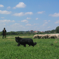 2004 Hüten Mittleres Saaletal, Wettin, 17.07.2004