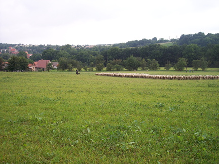 Bild 024