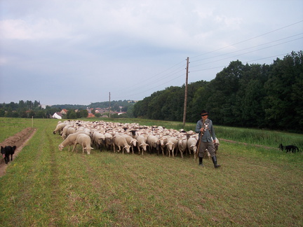 Bild 001