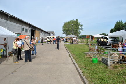 DSC 0055