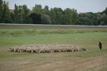 Geiseltalhüten 2008 018