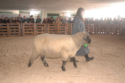 DSC 0065 nr93