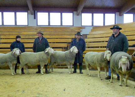 Klasse 5 03