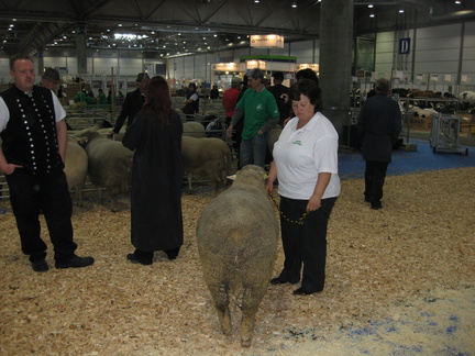 IMG 3073
