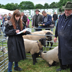Schauen und Ausstellungen