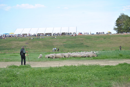 DSC 0155