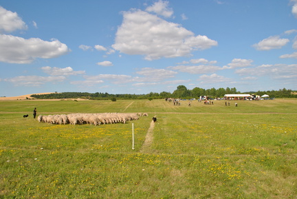 DSC 0575