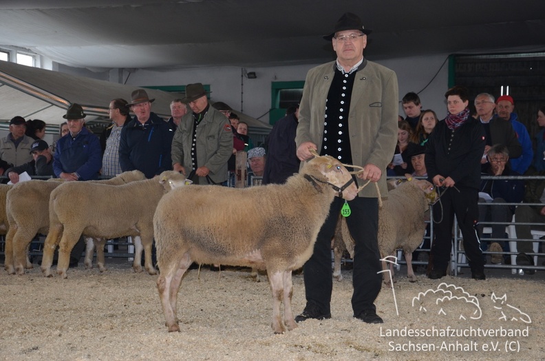 Nr. 153 BLS 1a Hauswald BB.JPG