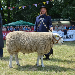 2017 20. Harzer Landwirtschaftsfest Reinstedt 25.06.2017