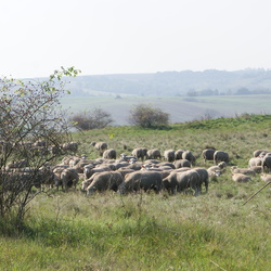 2014 Besucher aus Nordrhein-Westfalen zur Exkursion in Sachsen-Anhalt