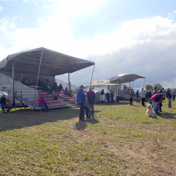 2014 Bundeshüten, Lohmen, 19.-21.09.2014