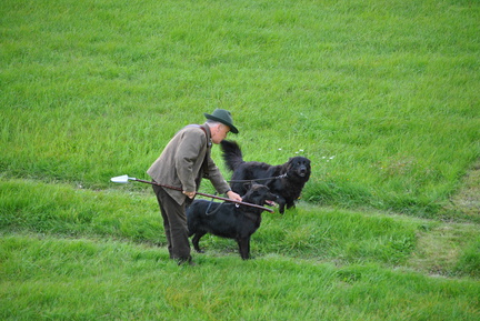 DSC 0003