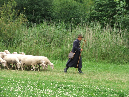 DSCF8975