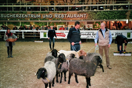 imm020 19