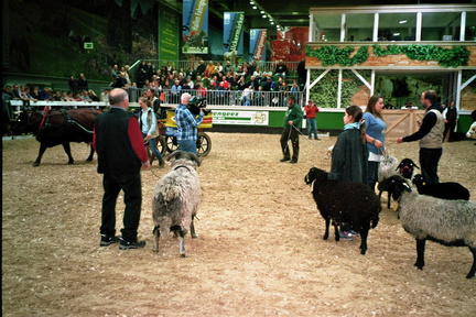 imm021 20
