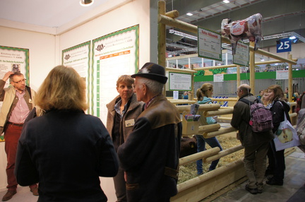 Am Stand (5)