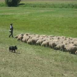 2012, Hüten Geiseltal, Ermlitz/Oberthau, 12.08.2012