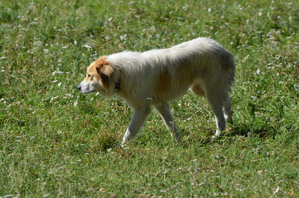 DSC 0811